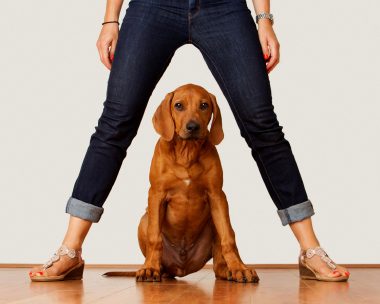 Maria and Dog